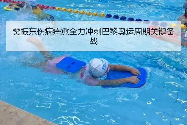 樊振东伤病痊愈全力冲刺巴黎奥运周期关键备战