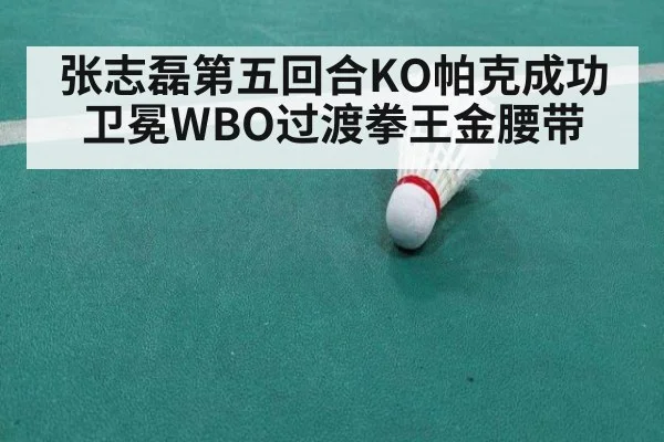 张志磊第五回合KO帕克成功卫冕WBO过渡拳王金腰带